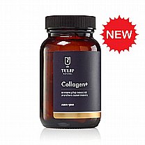 Collagen+ | +       